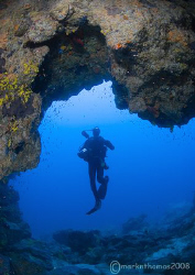 MrH. Wolf Island, Galapagos.
10.5mm. by Mark Thomas 